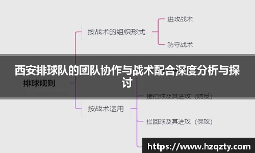 西安排球队的团队协作与战术配合深度分析与探讨